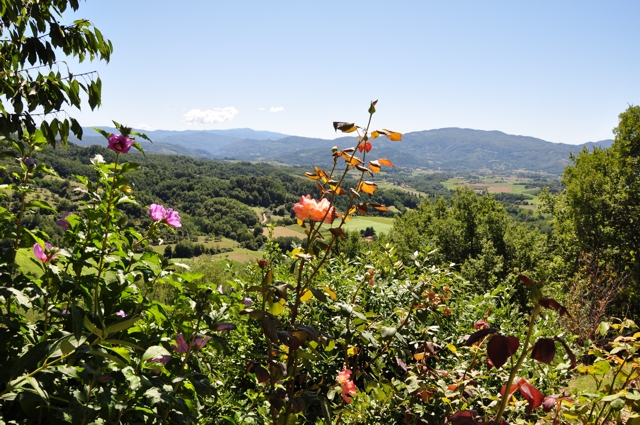 Il Nostro Giardino Foto 2