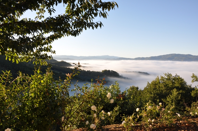 Il Nostro Giardino Foto 3